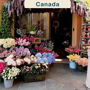 Consegna fiori Canada