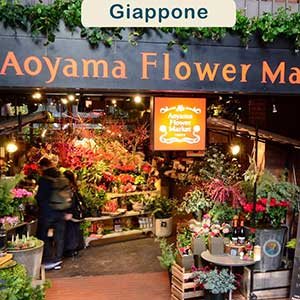 Consegna fiori Giappone