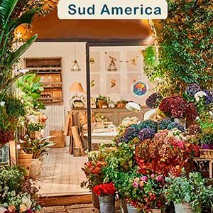 Consegna fiori Sud America