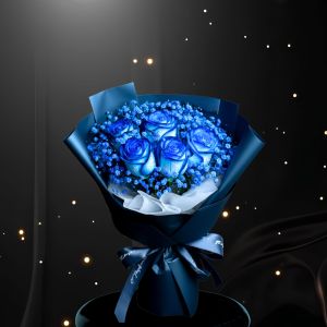 Bajo las Estrellas