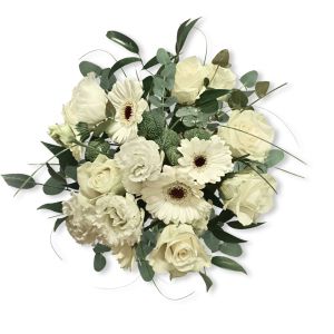 Blanca